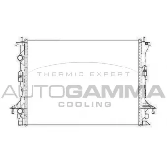 Radiateur, refroidissement du moteur AUTOGAMMA 105306
