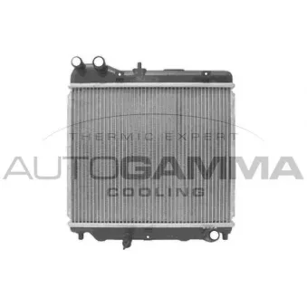 Radiateur, refroidissement du moteur AUTOGAMMA