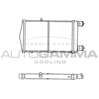 Radiateur, refroidissement du moteur AUTOGAMMA 105392