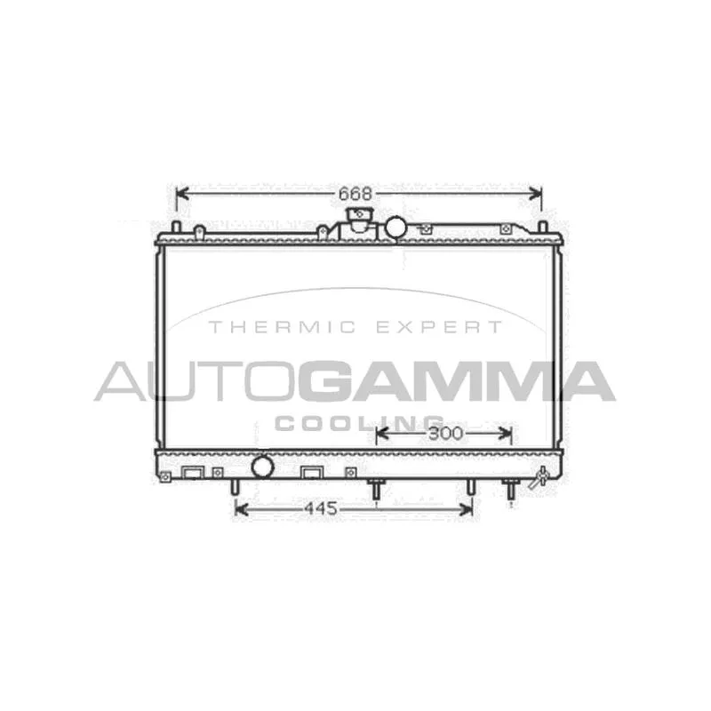 Radiateur, refroidissement du moteur AUTOGAMMA 105398
