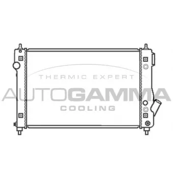 Radiateur, refroidissement du moteur AUTOGAMMA