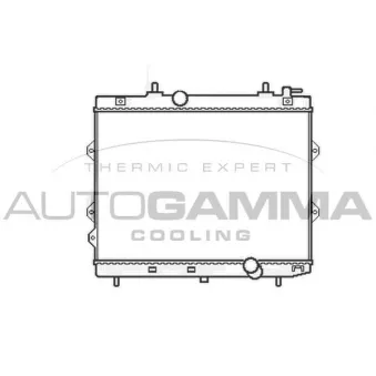 Radiateur, refroidissement du moteur AUTOGAMMA