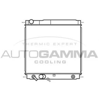 Radiateur, refroidissement du moteur AUTOGAMMA 105494