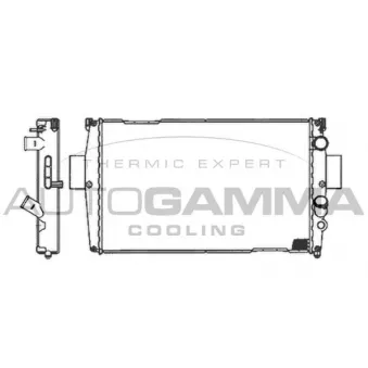 Radiateur, refroidissement du moteur AUTOGAMMA 105521