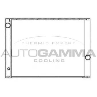 Radiateur, refroidissement du moteur AUTOGAMMA 105531