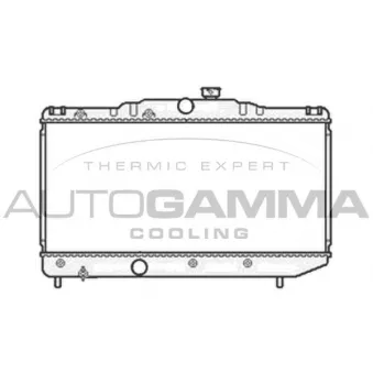 Radiateur, refroidissement du moteur AUTOGAMMA 105575