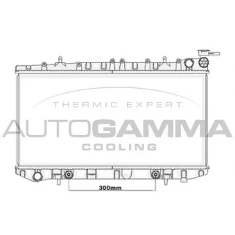 Radiateur, refroidissement du moteur AUTOGAMMA 105653