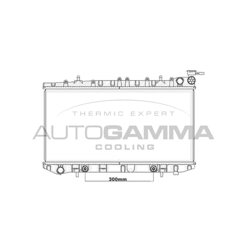 Radiateur, refroidissement du moteur AUTOGAMMA 105653