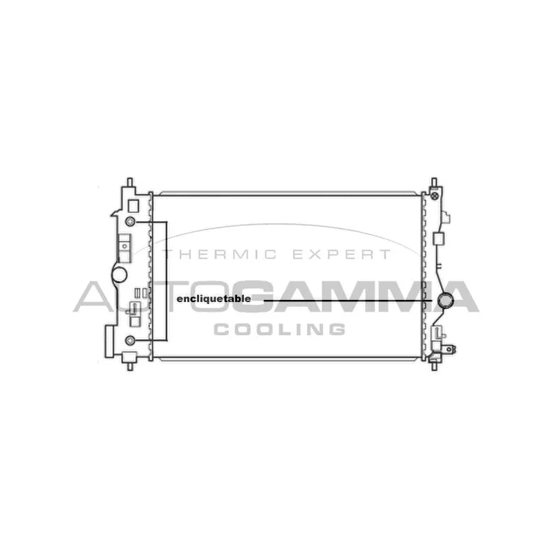 Radiateur, refroidissement du moteur AUTOGAMMA 105667