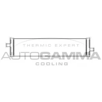Radiateur, refroidissement du moteur AUTOGAMMA 105681
