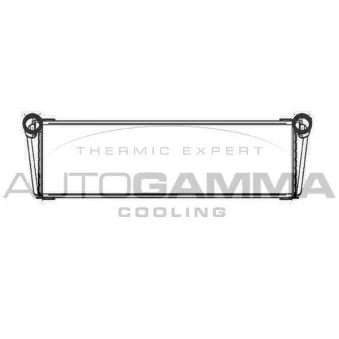 Radiateur, refroidissement du moteur AUTOGAMMA 105684