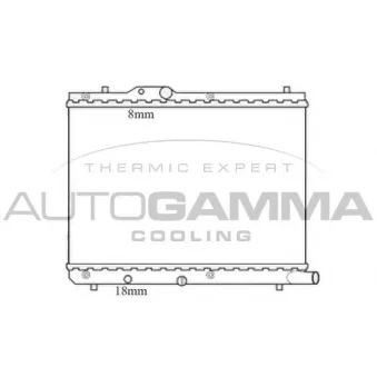Radiateur, refroidissement du moteur AUTOGAMMA 105735