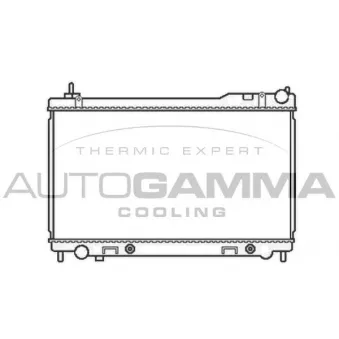 Radiateur, refroidissement du moteur AUTOGAMMA 105760