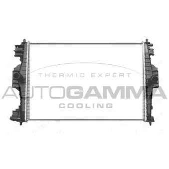 Radiateur, refroidissement du moteur AUTOGAMMA 105771
