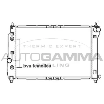 Radiateur, refroidissement du moteur AUTOGAMMA 105778
