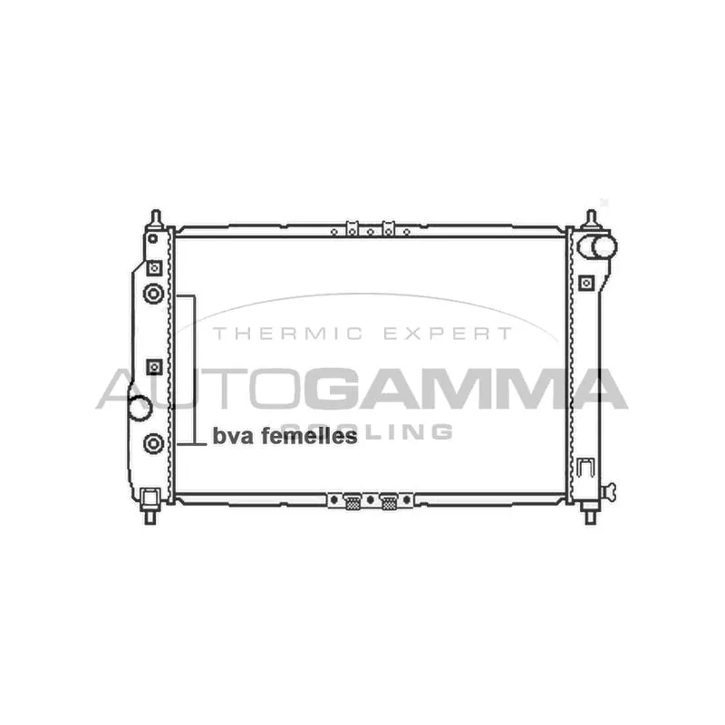 Radiateur, refroidissement du moteur AUTOGAMMA 105778