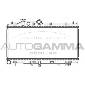 Radiateur, refroidissement du moteur AUTOGAMMA