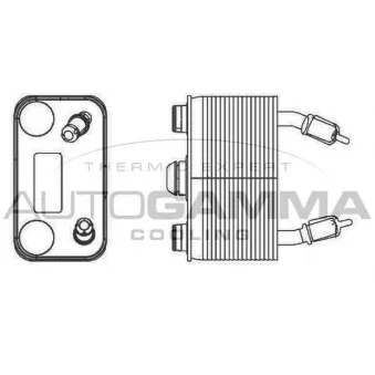 Radiateur d'huile AUTOGAMMA 105815