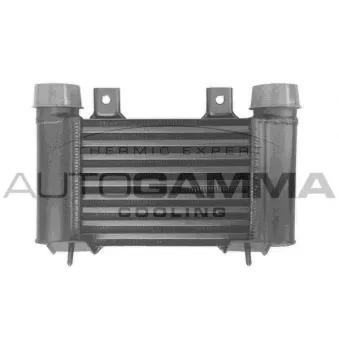 Intercooler, échangeur AUTOGAMMA 105823