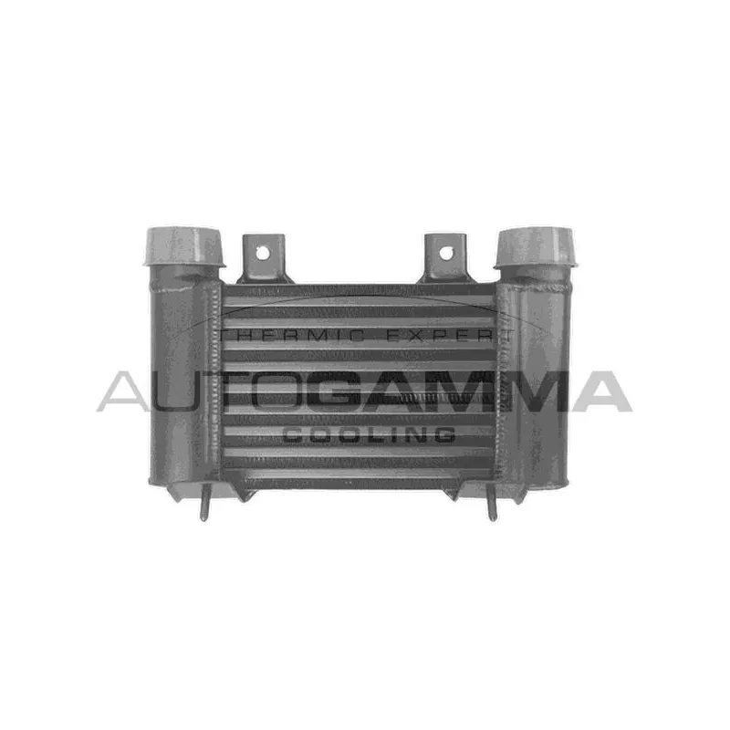 Intercooler, échangeur AUTOGAMMA 105823