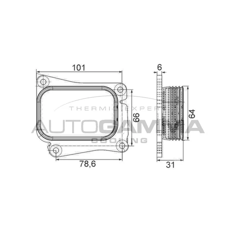 Radiateur d'huile AUTOGAMMA 105849