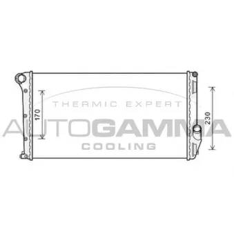 Radiateur, refroidissement du moteur AUTOGAMMA 105873