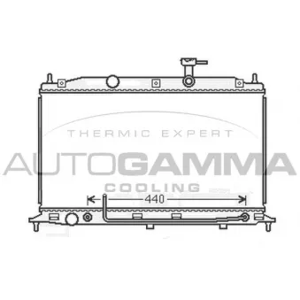 Radiateur, refroidissement du moteur AUTOGAMMA 105919