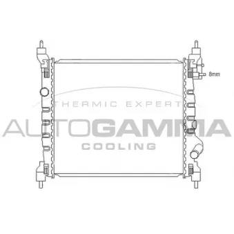 Radiateur, refroidissement du moteur AUTOGAMMA 105986