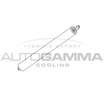 Filtre déshydratant, climatisation AUTOGAMMA 106036