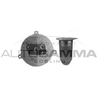 Filtre déshydratant, climatisation AUTOGAMMA 106086
