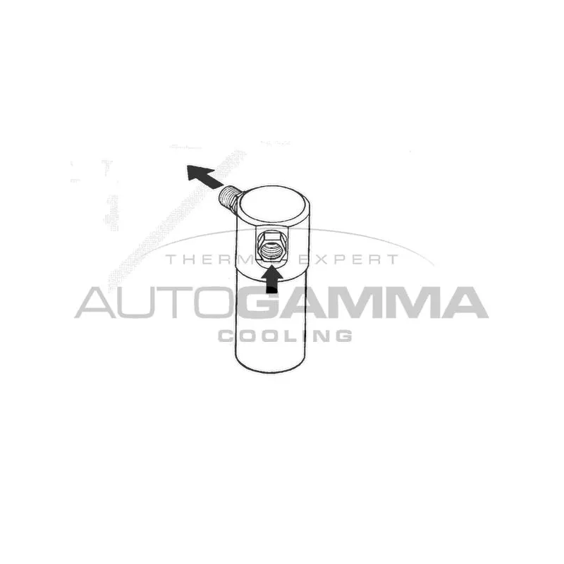 Filtre déshydratant, climatisation AUTOGAMMA 106099