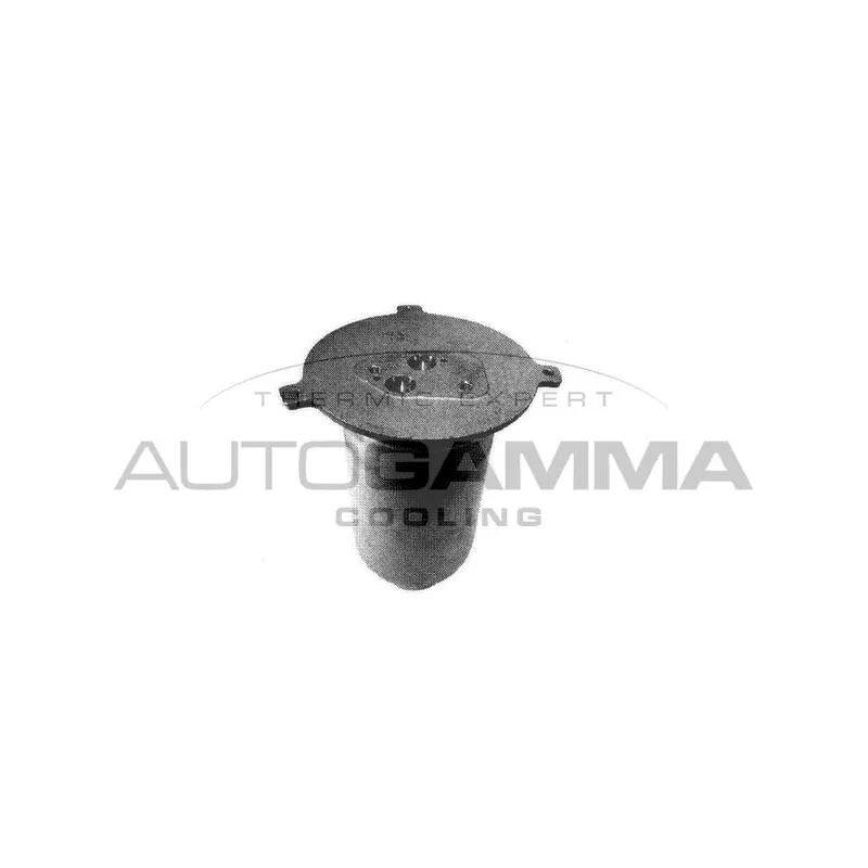 Filtre déshydratant, climatisation AUTOGAMMA 106159
