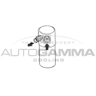 Filtre déshydratant, climatisation AUTOGAMMA 106181