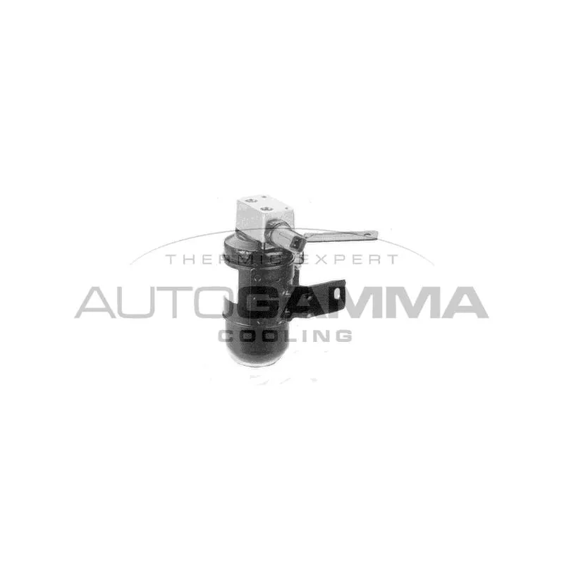 Filtre déshydratant, climatisation AUTOGAMMA 106218