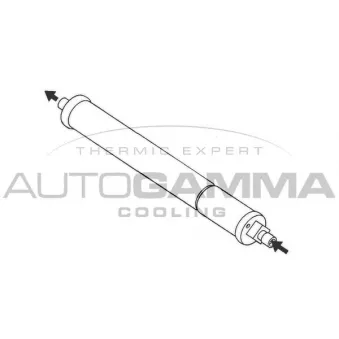 Filtre déshydratant, climatisation AUTOGAMMA 106222