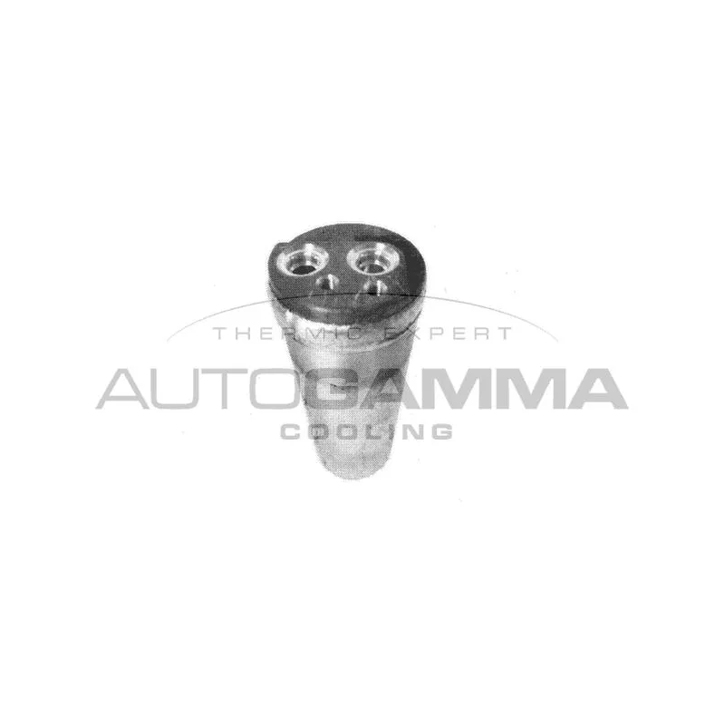 Filtre déshydratant, climatisation AUTOGAMMA 106287