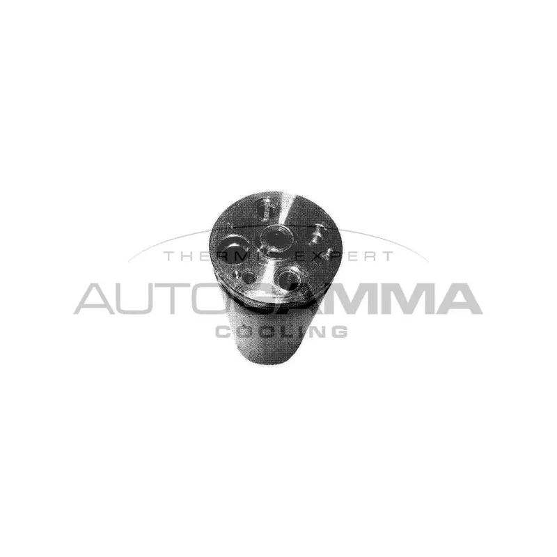 Filtre déshydratant, climatisation AUTOGAMMA 106338