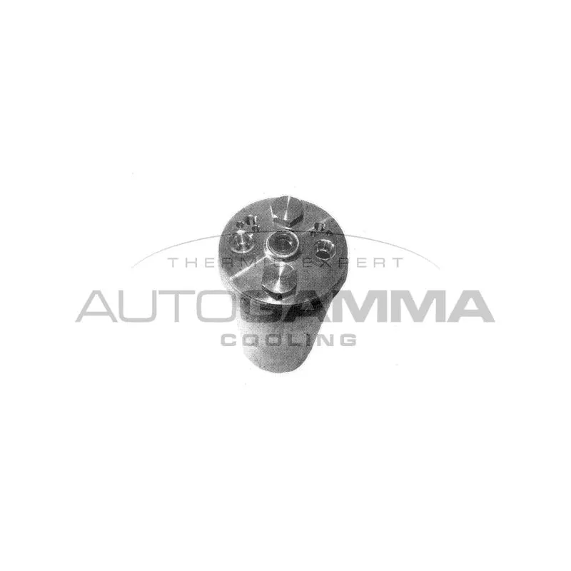 Filtre déshydratant, climatisation AUTOGAMMA 106340
