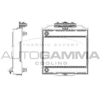 Radiateur, refroidissement du moteur AUTOGAMMA 107009