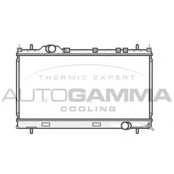 Radiateur, refroidissement du moteur AUTOGAMMA 107015