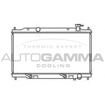 Radiateur, refroidissement du moteur AUTOGAMMA 107017
