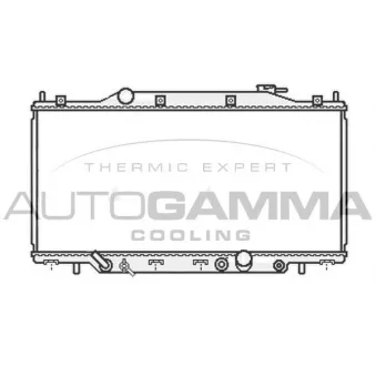 Radiateur, refroidissement du moteur AUTOGAMMA 107022
