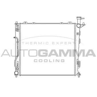 Radiateur, refroidissement du moteur AUTOGAMMA 107028