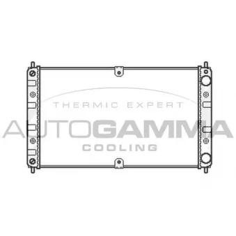 Radiateur, refroidissement du moteur AUTOGAMMA