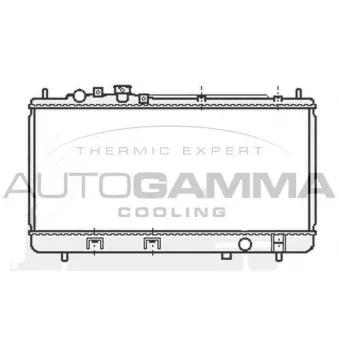 Radiateur, refroidissement du moteur AUTOGAMMA 107038