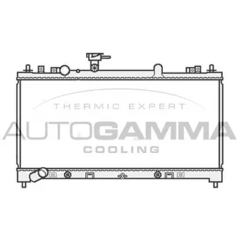 Radiateur, refroidissement du moteur AUTOGAMMA 107039