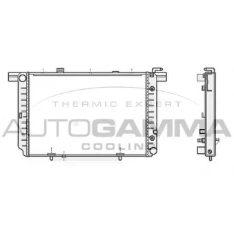 Radiateur, refroidissement du moteur AUTOGAMMA 107042
