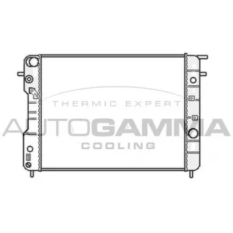 Radiateur, refroidissement du moteur AUTOGAMMA 107047