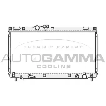 Radiateur, refroidissement du moteur AUTOGAMMA 107063