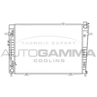 Radiateur, refroidissement du moteur AUTOGAMMA 107072